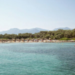 paralies_5