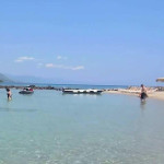 paralies_6
