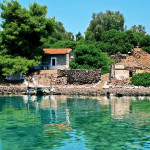 paralies_7