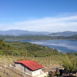 vriniotis winery